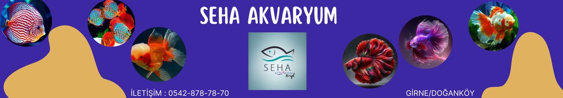 SEHA AKVARYUM