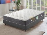 Koala Royal Comfort Paket Yaylı Yatak