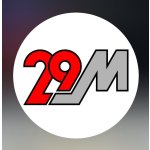 29 Motors