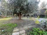 Girne Alsancak'da, Necat British School Yakını, 3+1 Kiralık Bungalow!