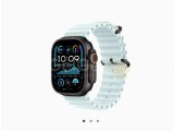 Apple Watch Ultra 2 49mm Black Ti Ocean Band