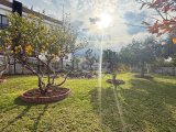Girne Alsancakta Kahvaltı Salonuna Uygun Bahçelikli Alan