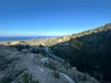 Satılık arsalar