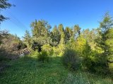 Satılık Arsa Girne Karakum deniz tarafında