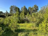 Satılık Arsa Girne Karakum deniz tarafında