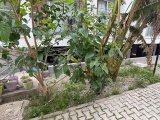 Lefkoşa Küçük Kaymaklı Bölgesinde 2+1 Yeni Yapılı Daire