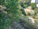 Bellapais'ın Güzel Bölgesinde Satılık Arazi