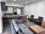Mobilya ve beyaz eşya ile 95 m²'lik 2 yatak odalı yeni daire