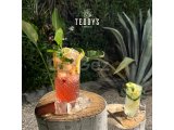 Teddy’s Coffee & Joy
