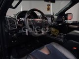 2019 Model Otomatik Ford F Series