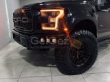 2019 Model Otomatik Ford F Series