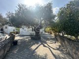 Bellapais'te 4 Yatak Odalı Villa