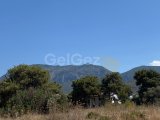 Satılık Türk Malı Girnenin En İyi Lokasyonda Arazi