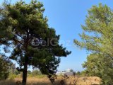 Satılık Türk Malı Girnenin En İyi Lokasyonda Arazi