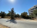 Satılık Türk Malı Girnenin En İyi Lokasyonda Arazi