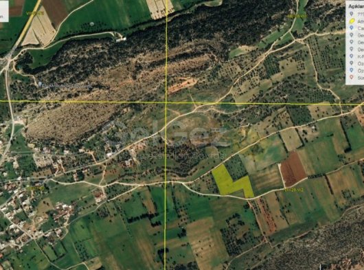 Kumyalı bölgesinde satılık arazi yolu mevcut denize yakın