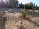 Lapta Köy İçinde; Önü Kapanmaz Deniz Manzaralı, 1 Dönüm Arsada, Satılık Müstakil Ev!
