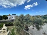 Bellapais'de Yüzme Havuzlu 3+1 Villa