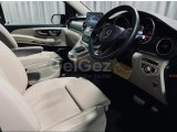 2023 Model Otomatik Minibüs & Midibüs Mercedes