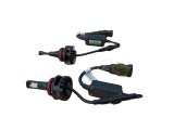 H11 4300K LED AMPUL