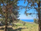 Girne Karmi'de Satılık Arsa