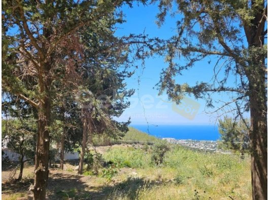 Girne Karmi'de Satılık Arsa