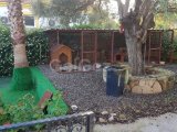 Girne Karaoğlanoğlu'da Kiralık Bungalow
