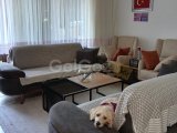 Girne Ozanköy'de Satılık 1+1 Zemin Kat Daire