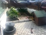 Girne Zeytinlikte Satılık 3+1 Vila