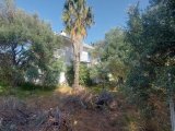 Girne Lapta'da Satılık 2+2 Villa