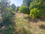 Girne Lapta'da Satılık 2+2 Villa