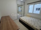KALİLAND BÖLGESİNDE EŞYALI YENİ BİNA