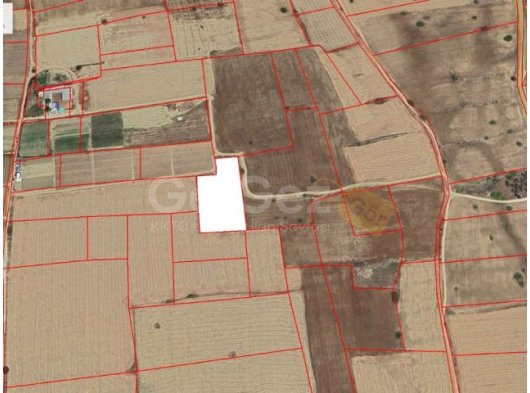 İSKELE 6093 M2 SATILIK TARLA YATIRIM İÇİN İDEAL