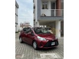 2019 Model Otomatik Toyota Vitz
