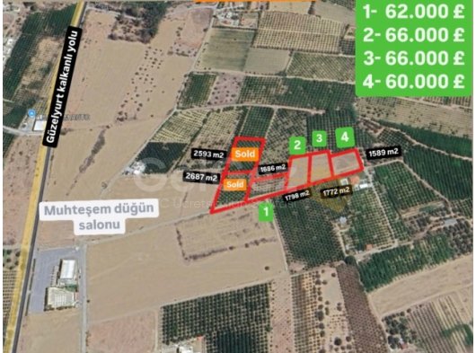 Güzelyurt merkezde satılık arsalar