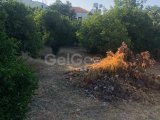 Satılık kelepir müstakil ev