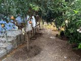 Güzelyurt merkezde satılık bahçeli ev