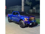 2019 Model Otomatik Ford F Series