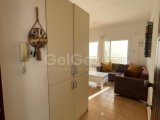 İSKELE KİRALIK BEGON VİLLALARI HAVUZLU SİTE İÇERİSİNDE 2+1 DAİRE