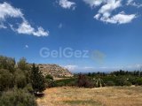 Lefke merkezde satılık Türk malı arazi