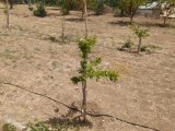 Deniz ve dağ manzaralı arsa