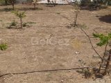 Deniz ve dağ manzaralı arsa