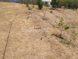 Deniz ve dağ manzaralı arsa