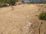 SATILIK LEFKE YEDİDALGA 5 DÖNÜM ARAZİ İÇERİSİNDE 4+1 EV MÜKEMMEL KONUM MÜKEMMEL FIRSAT