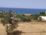 SATILIK LEFKE YEDİDALGA 5 DÖNÜM ARAZİ İÇERİSİNDE 4+1 EV MÜKEMMEL KONUM MÜKEMMEL FIRSAT