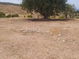 SATILIK LEFKE YEDİDALGA 5 DÖNÜM ARAZİ İÇERİSİNDE 4+1 EV MÜKEMMEL KONUM MÜKEMMEL FIRSAT