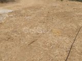 SATILIK LEFKE YEDİDALGA 5 DÖNÜM ARAZİ İÇERİSİNDE 4+1 EV MÜKEMMEL KONUM MÜKEMMEL FIRSAT