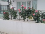 GAZIMAGUSA TUZLA BÖLGESİ . YASEMİN SİTESİNDE SATILIK VİLLA