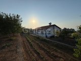 GİRNE ARAPKOYDE SATILIK HAVUZLU VILLA