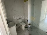 GAZIMAGUSA MARAS BOLGESINDE KACIRILMAYCAK FIRSAT